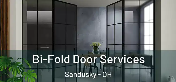Bi-Fold Door Services Sandusky - OH