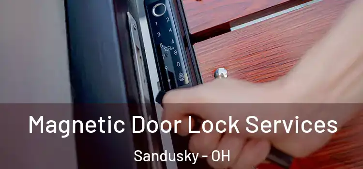 Magnetic Door Lock Services Sandusky - OH