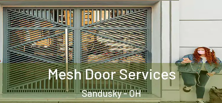 Mesh Door Services Sandusky - OH