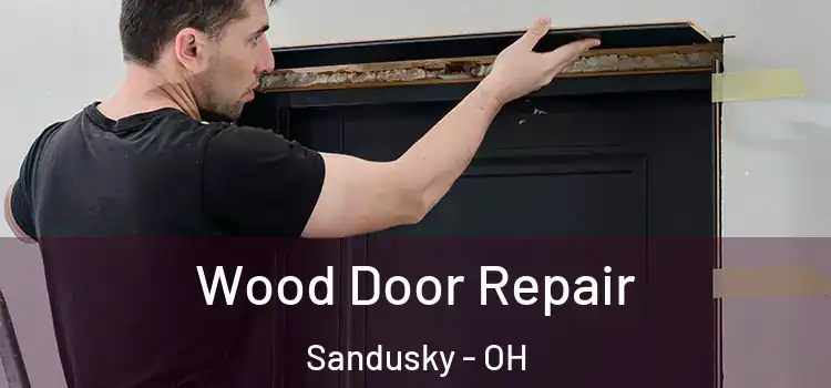 Wood Door Repair Sandusky - OH